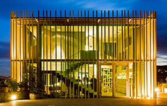 Weingut am Stein, Würzburg Fachexkursion mit der FH Koblenz
